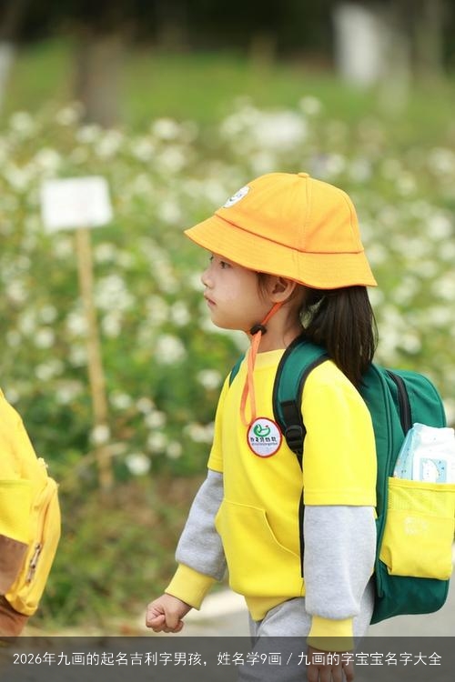 2026年九画的起名吉利字男孩,姓名学9画/九画的字宝宝名字大全 2026年九画的起名吉利字男孩,姓名学9画/九画的字宝宝名字大全