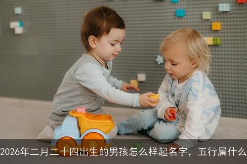 2026年二月二十四出生的男孩怎么样起名字,五行属什么 2026年二月二十四出生的男孩怎么样起名字,五行属什么
