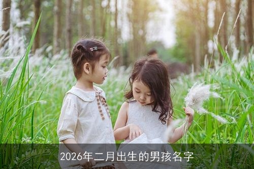 2026年二月出生的男孩名字 2026年二月出生的男孩名字