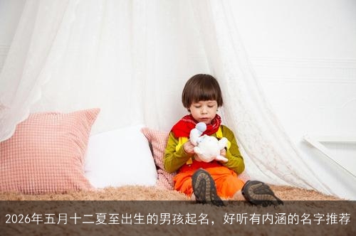 2026年五月十二夏至出生的男孩起名,好听有内涵的名字推荐 2026年五月十二夏至出生的男孩起名,好听有内涵的名字推荐