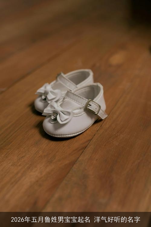 2026年五月鲁姓男宝宝起名 洋气好听的名字 2026年五月鲁姓男宝宝起名 洋气好听的名字