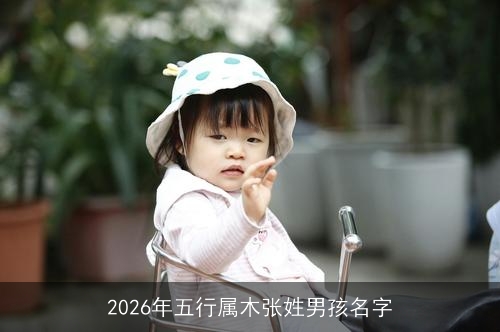 2026年五行属木张姓男孩名字 2026年五行属木张姓男孩名字