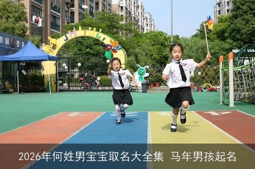 2026年何姓男宝宝取名大全集 马年男孩起名 2026年何姓男宝宝取名大全集 马年男孩起名