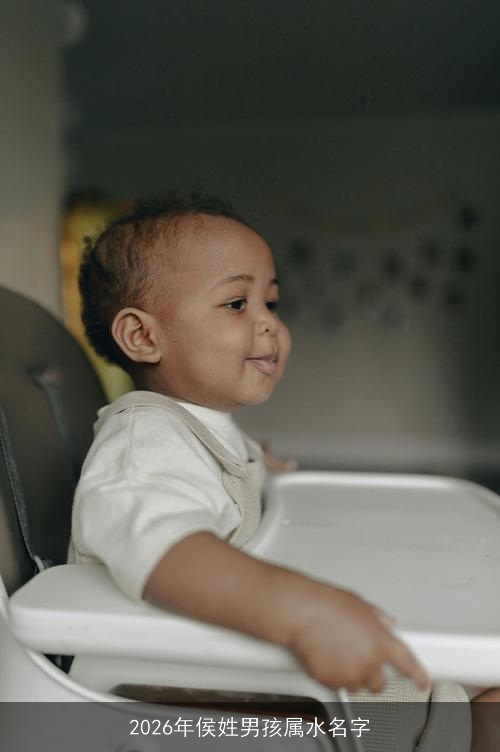 2026年侯姓男孩属水名字 2026年侯姓男孩属水名字