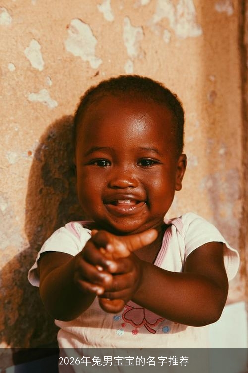 2026年兔男宝宝的名字推荐 2026年兔男宝宝的名字推荐