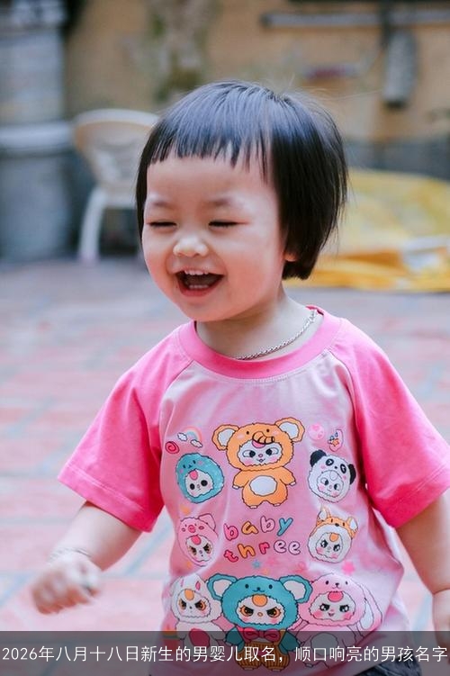 2026年八月十八日新生的男婴儿取名,顺口响亮的男孩名字 2026年八月十八日新生的男婴儿取名,顺口响亮的男孩名字