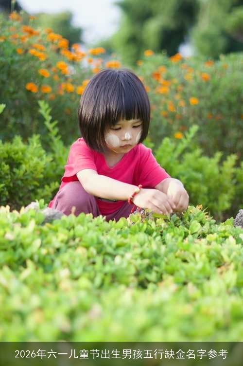 2026年六一儿童节出生男孩五行缺金名字参考 2026年六一儿童节出生男孩五行缺金名字参考