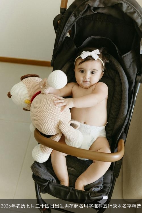 2026年农历七月二十四日出生男孩起名用字推荐五行缺木名字精选 2026年农历七月二十四日出生男孩起名用字推荐五行缺木名字精选