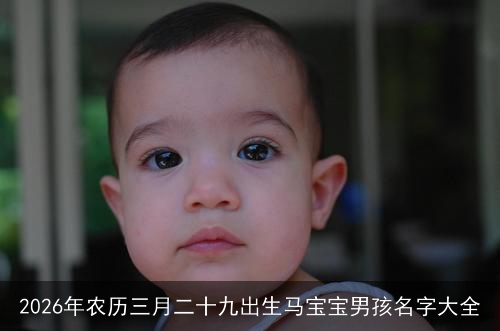 2026年农历三月二十九出生马宝宝男孩名字大全 2026年农历三月二十九出生马宝宝男孩名字大全
