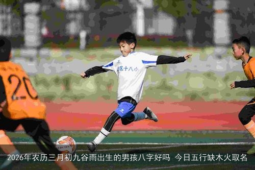 2026年农历三月初九谷雨出生的男孩八字好吗 今日五行缺木火取名 2026年农历三月初九谷雨出生的男孩八字好吗 今日五行缺木火取名