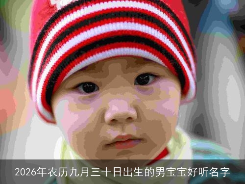 2026年农历九月三十日出生的男宝宝好听名字 2026年农历九月三十日出生的男宝宝好听名字