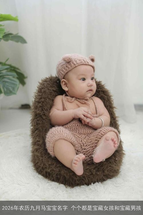 2026年农历九月马宝宝名字 个个都是宝藏女孩和宝藏男孩 2026年农历九月马宝宝名字 个个都是宝藏女孩和宝藏男孩