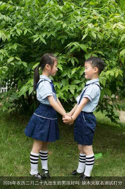 2026年农历二月二十九出生的男孩好吗 缺木火取名测试打分 2026年农历二月二十九出生的男孩好吗 缺木火取名测试打分