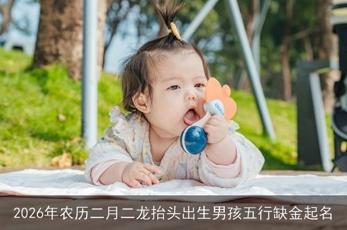 2026年农历二月二龙抬头出生男孩五行缺金起名 2026年农历二月二龙抬头出生男孩五行缺金起名