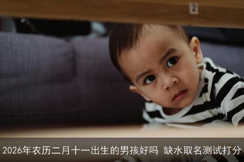 2026年农历二月十一出生的男孩好吗 缺水取名测试打分 2026年农历二月十一出生的男孩好吗 缺水取名测试打分