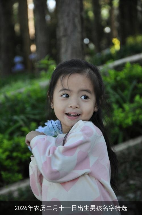 2026年农历二月十一日出生男孩名字精选 2026年农历二月十一日出生男孩名字精选