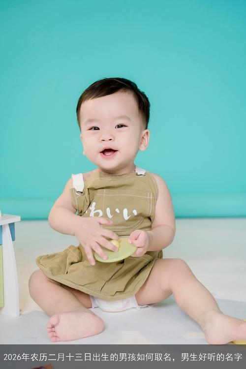2026年农历二月十三日出生的男孩如何取名,男生好听的名字 2026年农历二月十三日出生的男孩如何取名,男生好听的名字