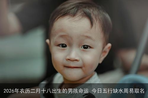 2026年农历二月十八出生的男孩命运 今日五行缺水周易取名 2026年农历二月十八出生的男孩命运 今日五行缺水周易取名