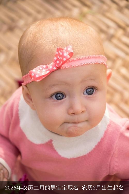 2026年农历二月的男宝宝取名 农历2月出生起名 2026年农历二月的男宝宝取名 农历2月出生起名