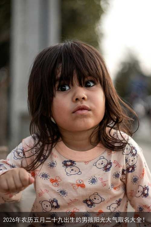 2026年农历五月二十九出生的男孩阳光大气取名大全! 2026年农历五月二十九出生的男孩阳光大气取名大全!