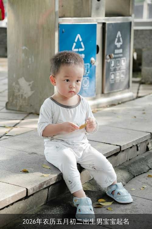 2026年农历五月初二出生男宝宝起名 2026年农历五月初二出生男宝宝起名