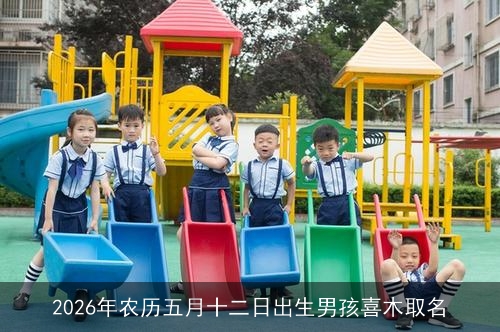 2026年农历五月十二日出生男孩喜木取名 2026年农历五月十二日出生男孩喜木取名