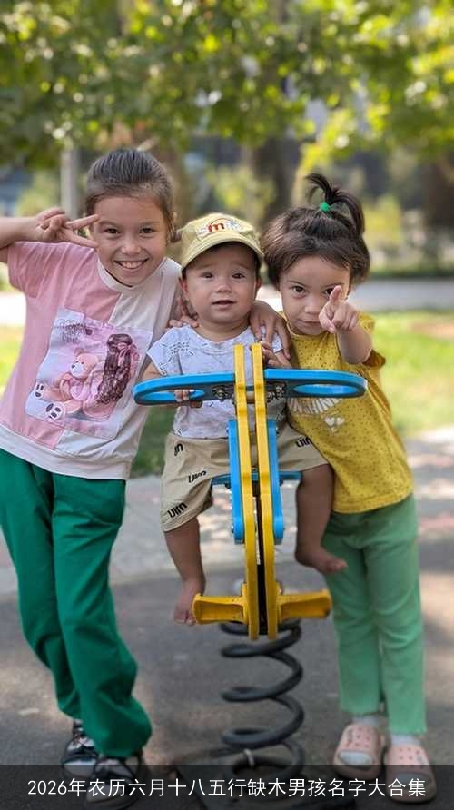 2026年农历六月十八五行缺木男孩名字大合集 2026年农历六月十八五行缺木男孩名字大合集
