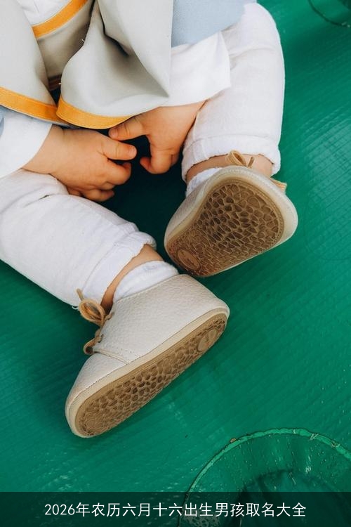 2026年农历六月十六出生男孩取名大全 2026年农历六月十六出生男孩取名大全