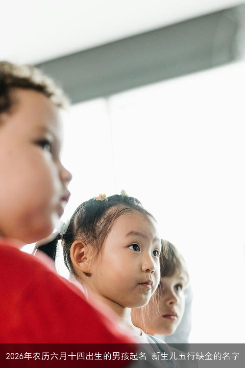 2026年农历六月十四出生的男孩起名 新生儿五行缺金的名字 2026年农历六月十四出生的男孩起名 新生儿五行缺金的名字