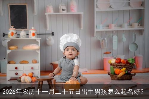 2026年农历十一月二十五日出生男孩怎么起名好? 2026年农历十一月二十五日出生男孩怎么起名好?