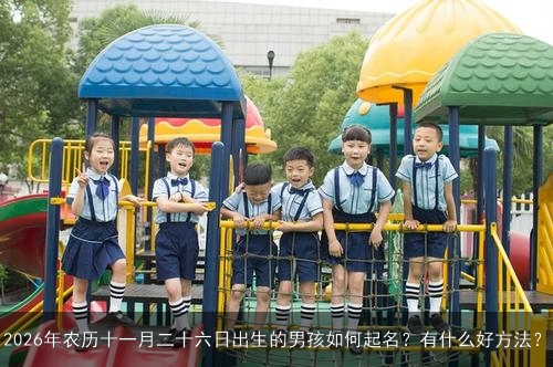 2026年农历十一月二十六日出生的男孩如何起名?有什么好方法? 2026年农历十一月二十六日出生的男孩如何起名?有什么好方法?