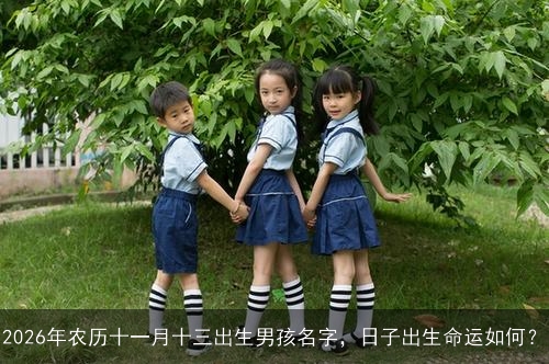 2026年农历十一月十三出生男孩名字,日子出生命运如何? 2026年农历十一月十三出生男孩名字,日子出生命运如何?
