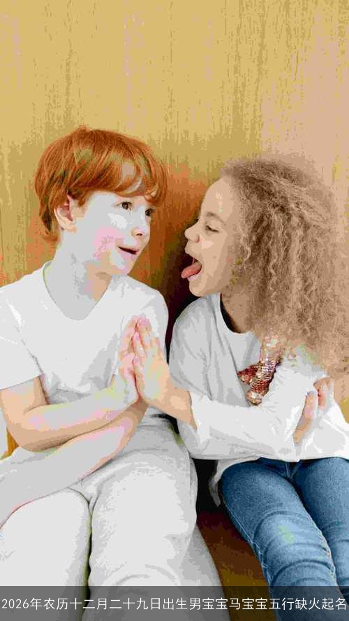 2026年农历十二月二十九日出生男宝宝马宝宝五行缺火起名 2026年农历十二月二十九日出生男宝宝马宝宝五行缺火起名