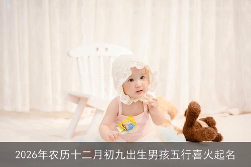 2026年农历十二月初九出生男孩五行喜火起名 2026年农历十二月初九出生男孩五行喜火起名