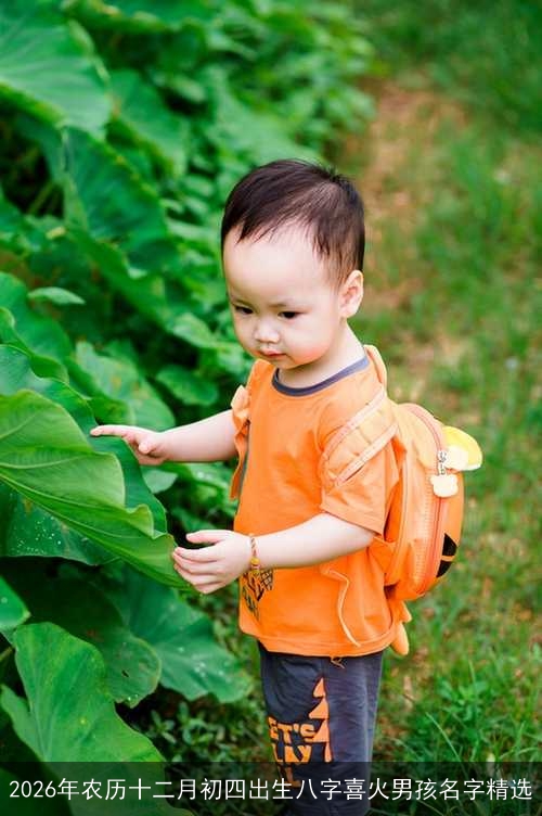2026年农历十二月初四出生八字喜火男孩名字精选 2026年农历十二月初四出生八字喜火男孩名字精选