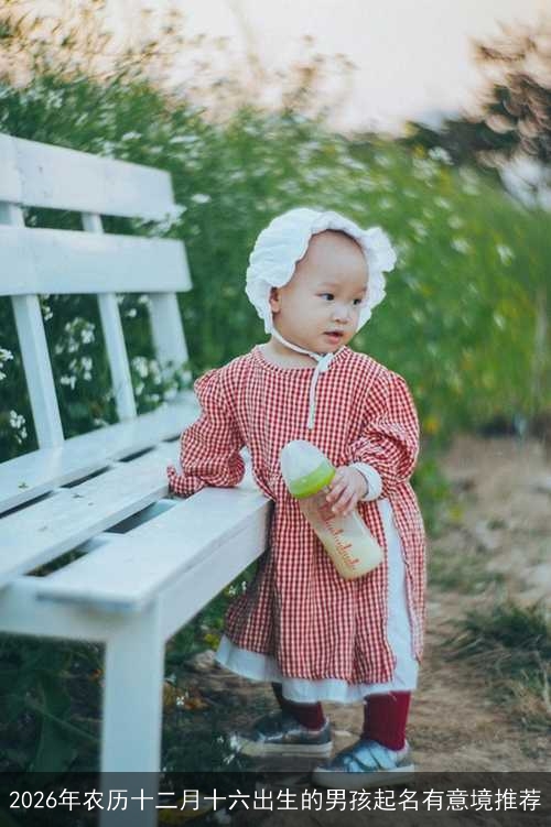 2026年农历十二月十六出生的男孩起名有意境推荐 2026年农历十二月十六出生的男孩起名有意境推荐