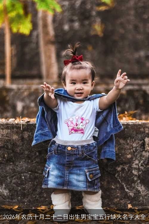 2026年农历十月二十二日出生男宝宝五行缺火名字大全 2026年农历十月二十二日出生男宝宝五行缺火名字大全