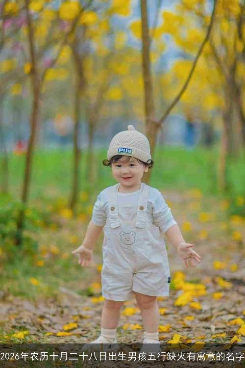 2026年农历十月二十八日出生男孩五行缺火有寓意的名字 2026年农历十月二十八日出生男孩五行缺火有寓意的名字