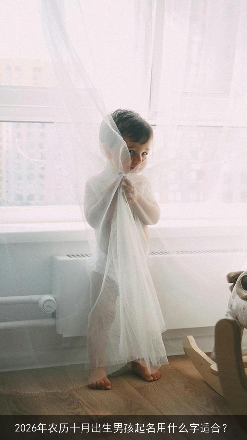 2026年农历十月出生男孩起名用什么字适合? 2026年农历十月出生男孩起名用什么字适合?
