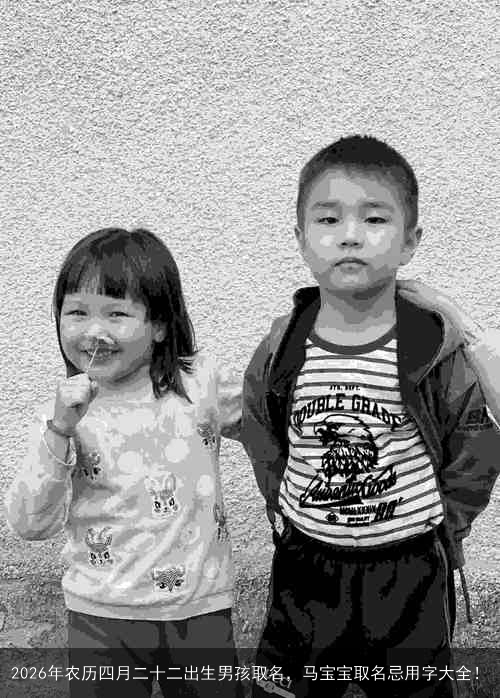 2026年农历四月二十二出生男孩取名,马宝宝取名忌用字大全! 2026年农历四月二十二出生男孩取名,马宝宝取名忌用字大全!