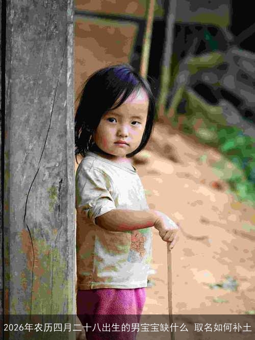 2026年农历四月二十八出生的男宝宝缺什么 取名如何补土 2026年农历四月二十八出生的男宝宝缺什么 取名如何补土