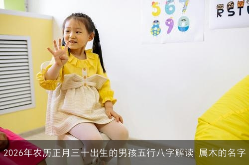 2026年农历正月三十出生的男孩五行八字解读 属木的名字 2026年农历正月三十出生的男孩五行八字解读 属木的名字