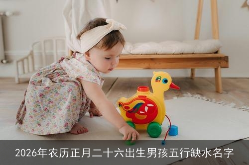 2026年农历正月二十六出生男孩五行缺水名字 2026年农历正月二十六出生男孩五行缺水名字