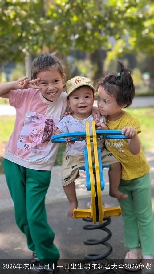 2026年农历正月十一日出生男孩起名大全2026免费 2026年农历正月十一日出生男孩起名大全2026免费