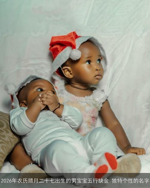 2026年农历腊月二十七出生的男宝宝五行缺金 独特个性的名字 2026年农历腊月二十七出生的男宝宝五行缺金 独特个性的名字