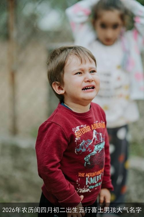 2026年农历闰四月初二出生五行喜土男孩大气名字 2026年农历闰四月初二出生五行喜土男孩大气名字