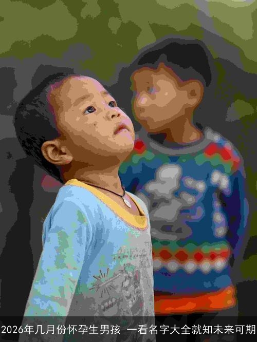 2026年几月份怀孕生男孩 一看名字大全就知未来可期 2026年几月份怀孕生男孩 一看名字大全就知未来可期