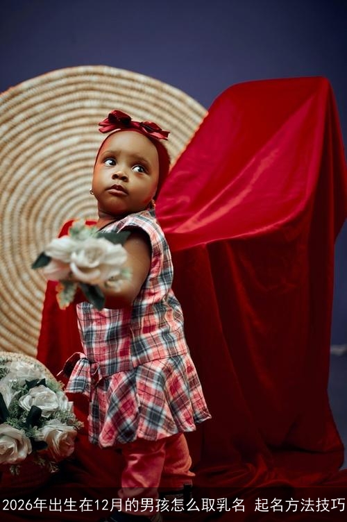 2026年出生在12月的男孩怎么取乳名 起名方法技巧 2026年出生在12月的男孩怎么取乳名 起名方法技巧