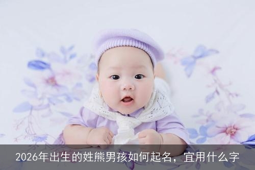 2026年出生的姓熊男孩如何起名,宜用什么字 2026年出生的姓熊男孩如何起名,宜用什么字