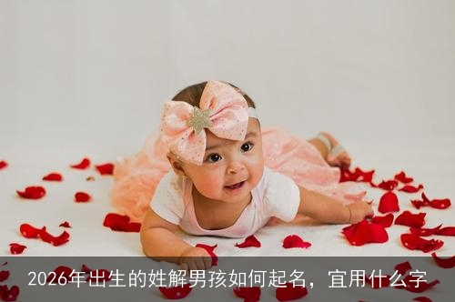 2026年出生的姓解男孩如何起名,宜用什么字 2026年出生的姓解男孩如何起名,宜用什么字